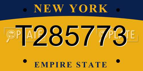 T285773 New York License Plate