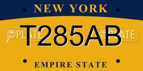 T285AB New York License Plate