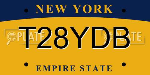 T28YDB New York License Plate