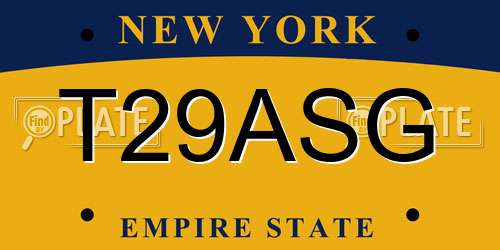 T29ASG New York License Plate