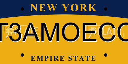 T3AMOECC New York License Plate