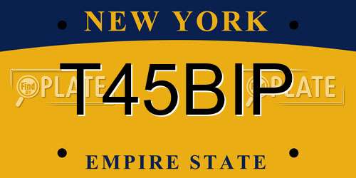 T45BIP New York License Plate