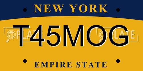 T45MOG New York License Plate