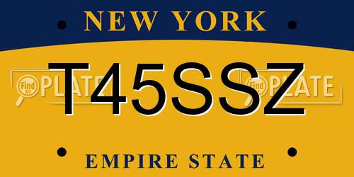 T45SSZ New York License Plate