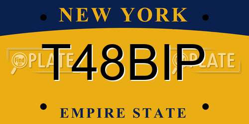 T48BIP New York License Plate