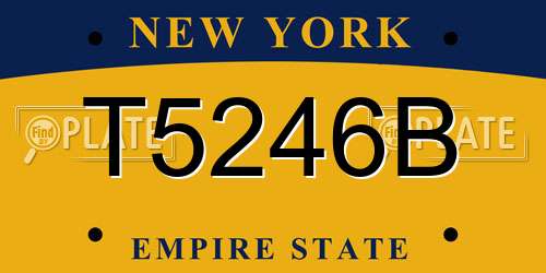 T5246B New York License Plate