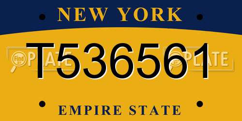 T536561 New York License Plate