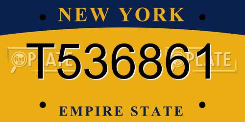 T536861 New York License Plate