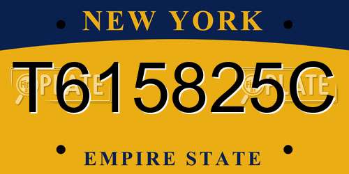 T615825C New York License Plate