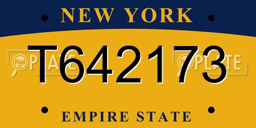 T642173 New York License Plate