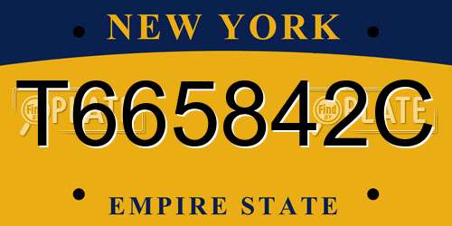T665842C New York License Plate