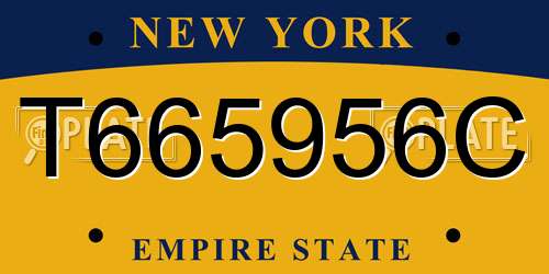 T665956C New York License Plate