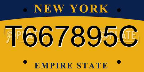 T667895C New York License Plate
