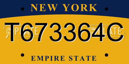 T673364C New York License Plate
