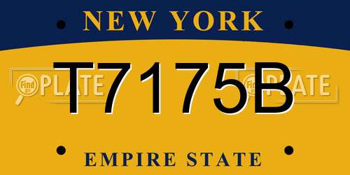 T7175B New York License Plate