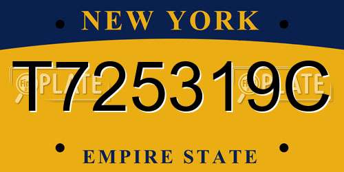 T725319C New York License Plate