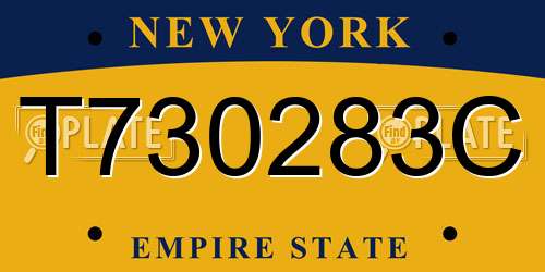 T730283C New York License Plate