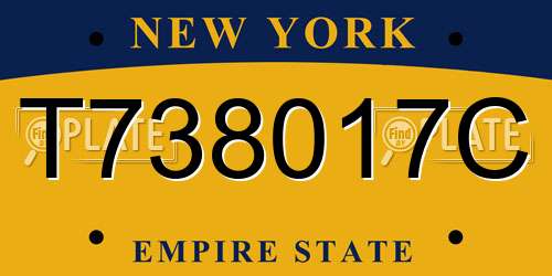 T738017C New York License Plate