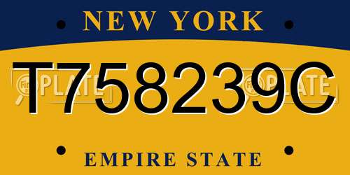 T758239C New York License Plate
