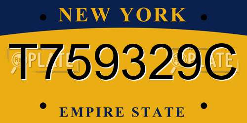 T759329C New York License Plate