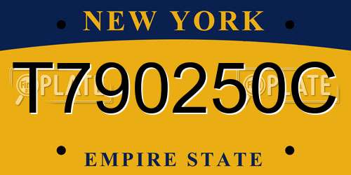 T790250C New York License Plate