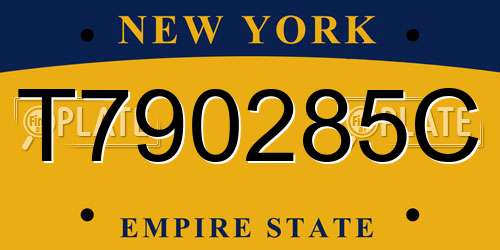 T790285C New York License Plate