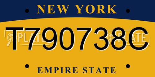 T790738C New York License Plate