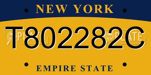 T802282C New York License Plate