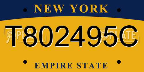 T802495C New York License Plate