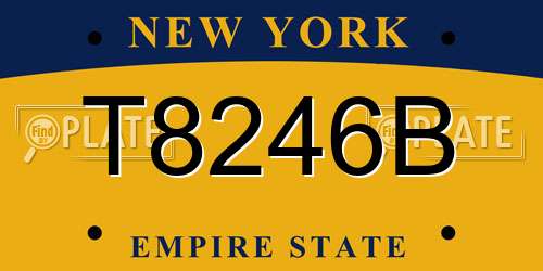 T8246B New York License Plate