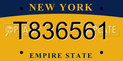 T836561 New York License Plate