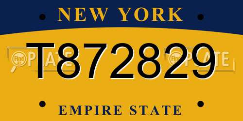T872829 New York License Plate