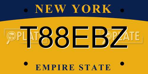 T88EBZ New York License Plate