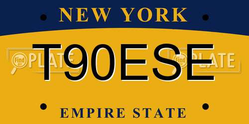 T90ESE New York License Plate
