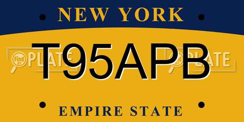 T95APB New York License Plate