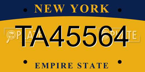 TA45564 New York License Plate