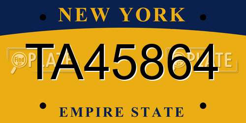 TA45864 New York License Plate
