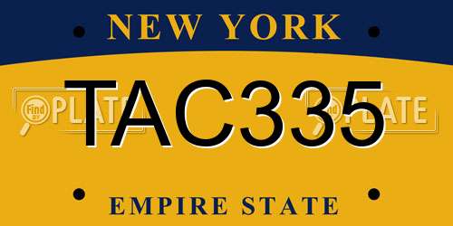 TAC335 New York License Plate