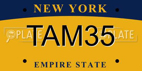 TAM35 New York License Plate