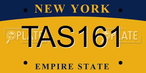 TAS161 New York License Plate