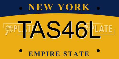 TAS46L New York License Plate