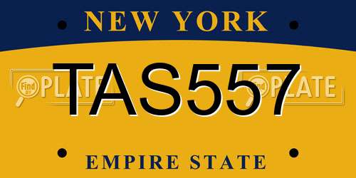 TAS557 New York License Plate