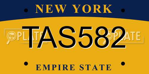 TAS582 New York License Plate