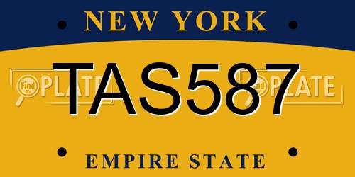 TAS587 New York License Plate