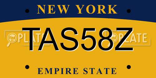 TAS58Z New York License Plate