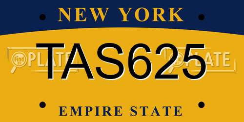 TAS625 New York License Plate