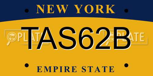 TAS62B New York License Plate
