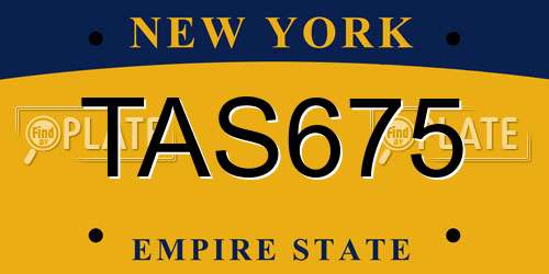 TAS675 New York License Plate