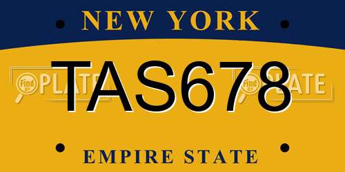TAS678 New York License Plate