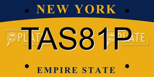 TAS81P New York License Plate
